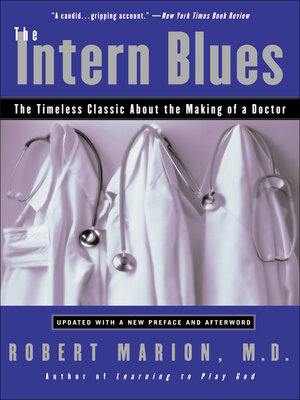 cover image of The Intern Blues